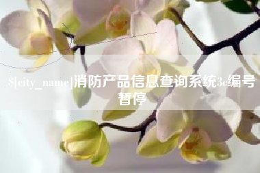 中国澳门消防产品信息查询系统3c编号暂停
