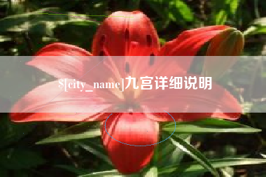 中国澳门九宫详细说明