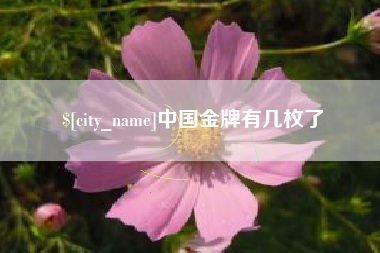 中国澳门中国金牌有几枚了