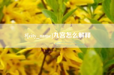 中国澳门九宫怎么解释