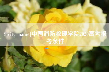 中国澳门中国消防救援学院2020高考报考条件