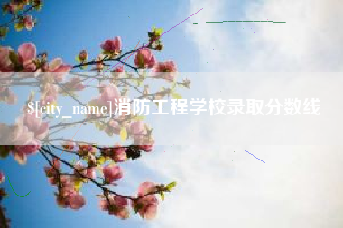 中国澳门消防工程学校录取分数线