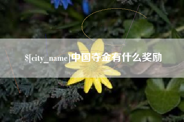 中国澳门中国夺金有什么奖励