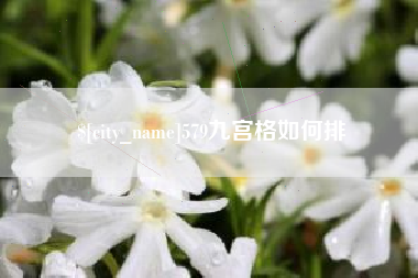 中国澳门579九宫格如何排