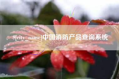 中国澳门中国消防产品查询系统