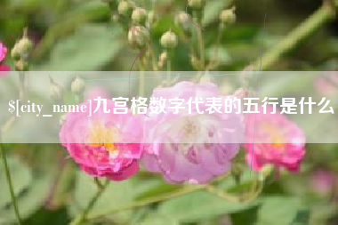 中国澳门九宫格数字代表的五行是什么
