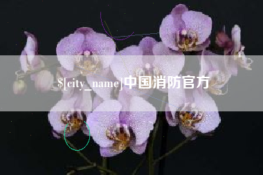 中国澳门中国消防官方