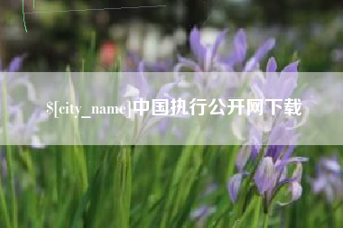 中国澳门中国执行公开网下载