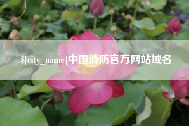 中国澳门中国消防官方网站域名