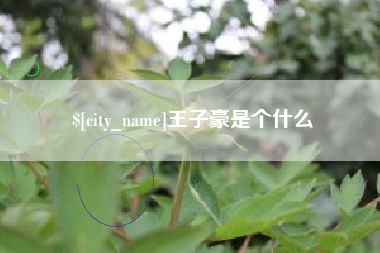 中国澳门王子豪是个什么