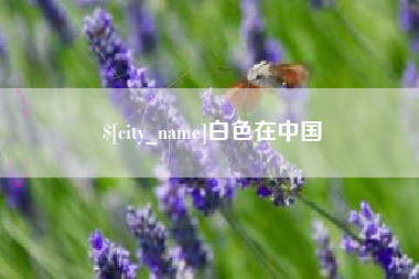 中国澳门白色在中国