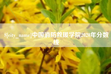 中国澳门中国消防救援学院2020年分数线