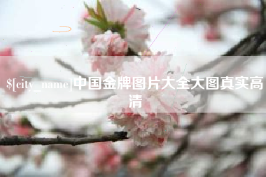 中国澳门中国金牌图片大全大图真实高清