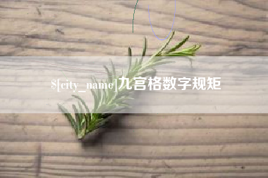中国澳门九宫格数字规矩