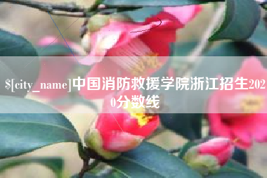 中国澳门中国消防救援学院浙江招生2020分数线