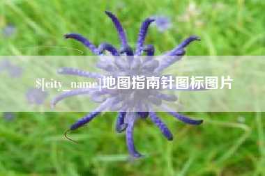 中国澳门地图指南针图标图片
