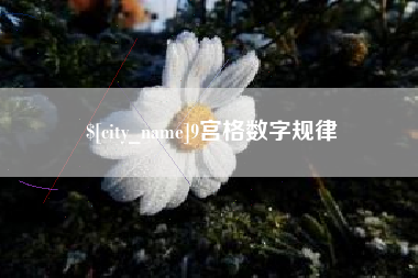 中国澳门9宫格数字规律