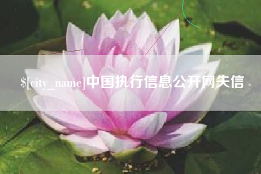 中国澳门中国执行信息公开网失信