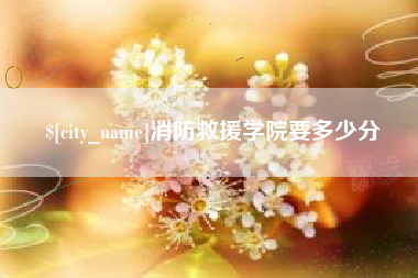 中国澳门消防救援学院要多少分