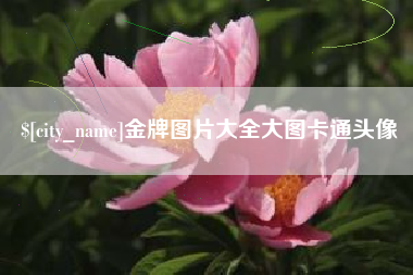 中国澳门金牌图片大全大图卡通头像