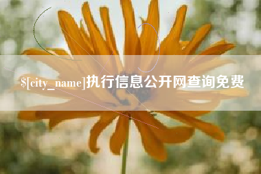 中国澳门执行信息公开网查询免费